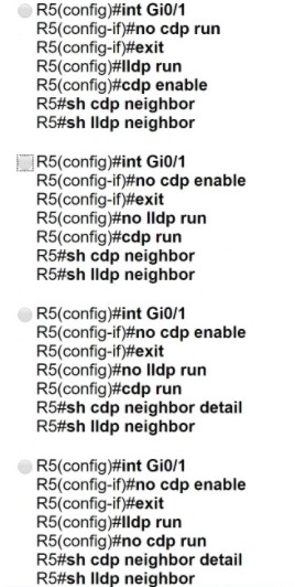 200-301 dumps exhibit