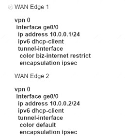 300-415 dumps exhibit