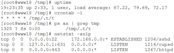 CS0-002 dumps exhibit