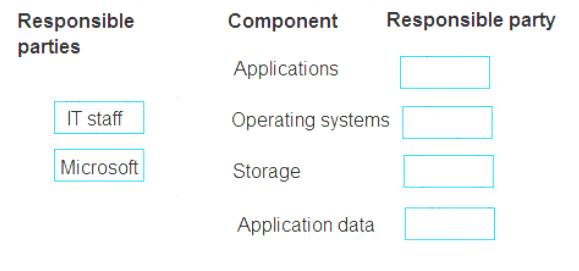 MS-900 dumps exhibit