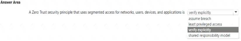 MS-900 dumps exhibit