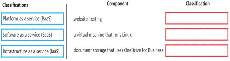 MS-900 dumps exhibit