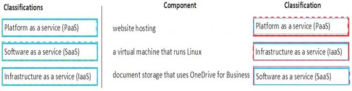 MS-900 dumps exhibit